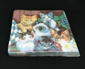 Decoupage Paper napkin tissue, 33x33cms, Pack of 5 pieces