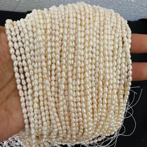 AAA Quality Fresh Water Pearls, Button, 2*3mm, Cream