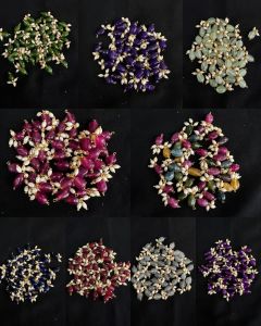 Quartz Loreals for Jewelry Making : 6x9mm, Assorted,Pack of 9