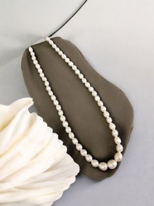 Single Layer Graduated Fresh Water Pearls , Cream 